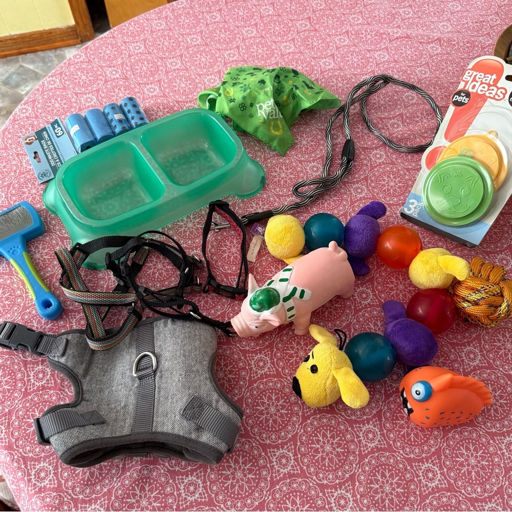 Small Dog pet lot bundle Toys, food dish, harnesses, leash, etc